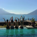 Photo of Vida Volunteer: Volunteer Programs in Costa Rica, Guatemala, and Nicaragua