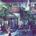 Photo of Broadreach: Traveling - Costa Rica Intro to Medicine 12-Day Adventure