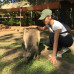 Photo of CISabroad (Center for International Studies): Gold Coast - Semester on the Gold Coast