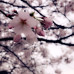 Photo of The Education Abroad Network (TEAN): Seoul - Korea University