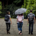 Photo of CIEE: Tokyo - Summer Japanese Studies