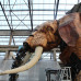 Photo of IES Abroad: Nantes - French Language Immersion & Area Studies