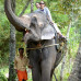 Photo of IISAC: Summer In Kerala