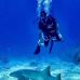 Photo of GVI: Ambergris Caye - Belize Marine Conservation Expedition