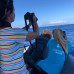 Photo of GVI: Tenerife - Short - Term Marine Biology Internship in the Canary Islands