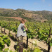 Photo of Cerca Abroad: Greece – Agriculture & Viticulture Internship