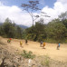 Photo of Outward Bound Costa Rica: Tropical Trek, Raft and Waves