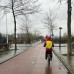 Photo of Vrije Universiteit Amsterdam: Amsterdam - Direct Enrollment & Exchange