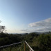 Photo of SIT Study Abroad: Panama - Tropical Ecology, Marine Ecosystems, and Biodiversity Conservation