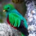 Photo of IPSL Global Engagement in Costa Rica: Spanish Language, Culture, and Volunteering