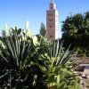 A student studying abroad with SUNY Binghamton: Ifrane - Al Akhawayan University of Ifrane