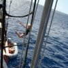 A student studying abroad with SEA Semester: The Global Ocean
