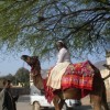 A student studying abroad with Study Abroad Programs in India