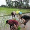 A student studying abroad with CIEE: Khon Kaen - Development and Globalization