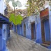 A student studying abroad with AMIDEAST: Rabat - Area & Arabic Language Studies