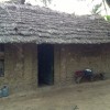 A student studying abroad with Study Abroad Programs in Kenya