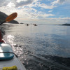 A student studying abroad with Broadreach: British Columbia - Marine Mammal Ecology