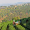 A student studying abroad with The Education Abroad Network (TEAN): Thailand / Cambodia Semester
