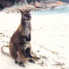 A student studying abroad with The Education Abroad Network (TEAN): Sydney - University of New South Wales