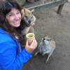 A student studying abroad with The Education Abroad Network (TEAN): Gold Coast - Bond University