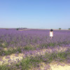 A student studying abroad with American University Center of Provence (AUCP): Aix-en-Provence - Summer in Provence