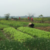 A student studying abroad with SIT Study Abroad: IHP - Climate Change: The Politics of Food, Water and Energy