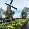 A student studying abroad with IES Abroad: Amsterdam - Study in Amsterdam with IES Abroad