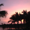 A student studying abroad with The School for Field Studies / SFS: Panama - Tropical Island Biodiversity Studies