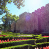 A student studying abroad with Atlantis Project | Pre-med Fellowship Abroad