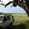 A student studying abroad with Round River Conservation Studies - Botswana Program
