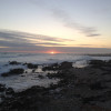 A student studying abroad with AIFS: Stellenbosch - Study Abroad or Service Learning at Stellenbosch University