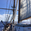 A student studying abroad with SEA Semester: The Global Ocean