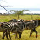 Study Abroad Programs in Kenya Photo