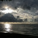 SIT Panama: Tropical Ecology, Marine Ecosystems, & Biodiversity Conservation Photo