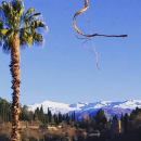 Sol Education Abroad - Study Abroad in Spain at University of Granada Photo