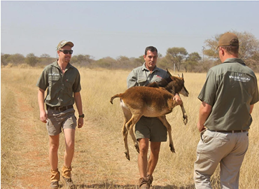 Study Abroad Reviews for Game Ways: Limpopo - Game Ranch Management Academy in South Africa