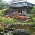 Photo of KIIS: Traveling - Experience Japan (Summer)