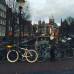 Photo of IES Abroad: Amsterdam - Social Sciences & Humanities
