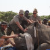 Photo of Conservation Travel Africa: Zimbabwe - Nature Enthusiast Course