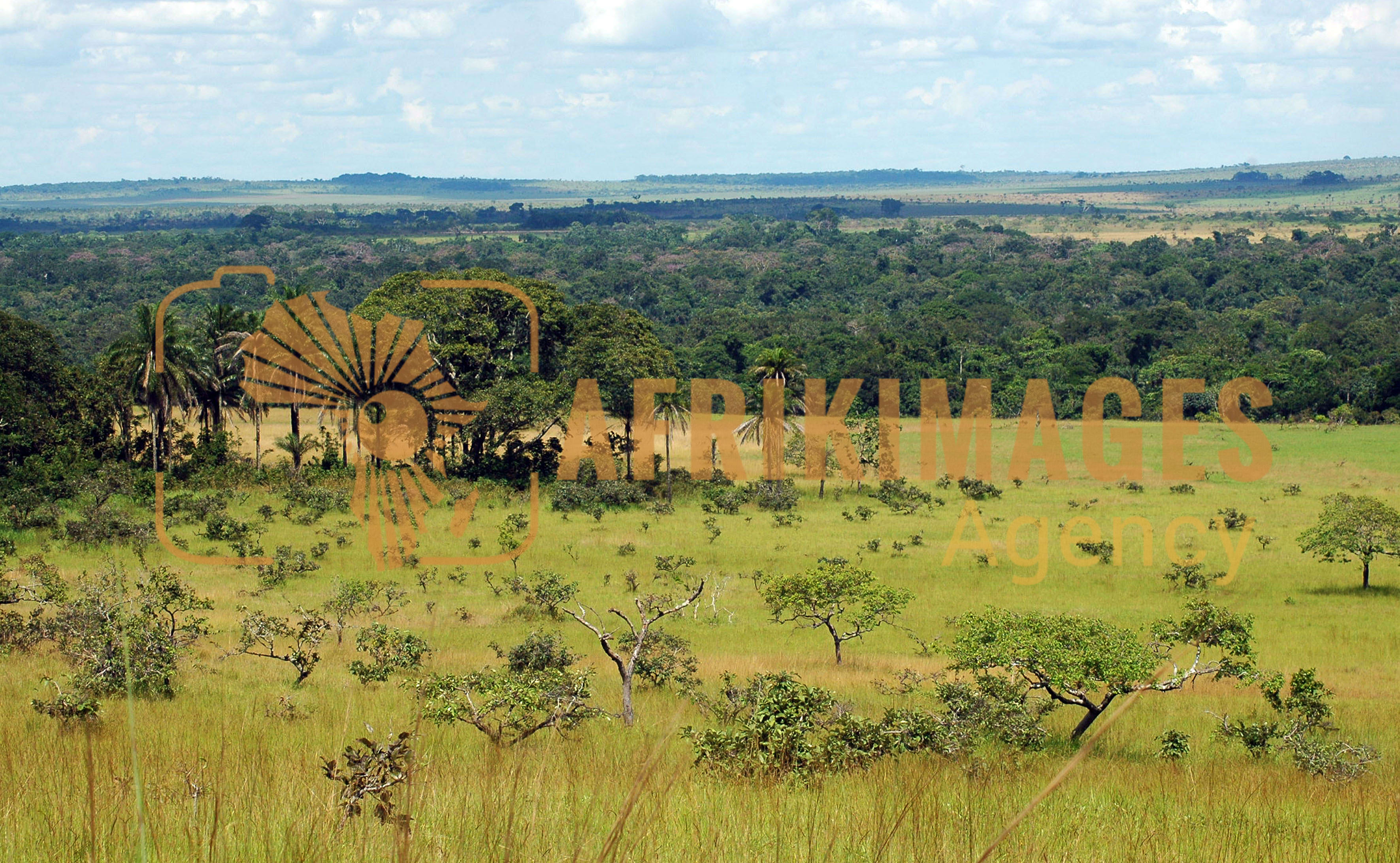 Afrikimages nature et environnement