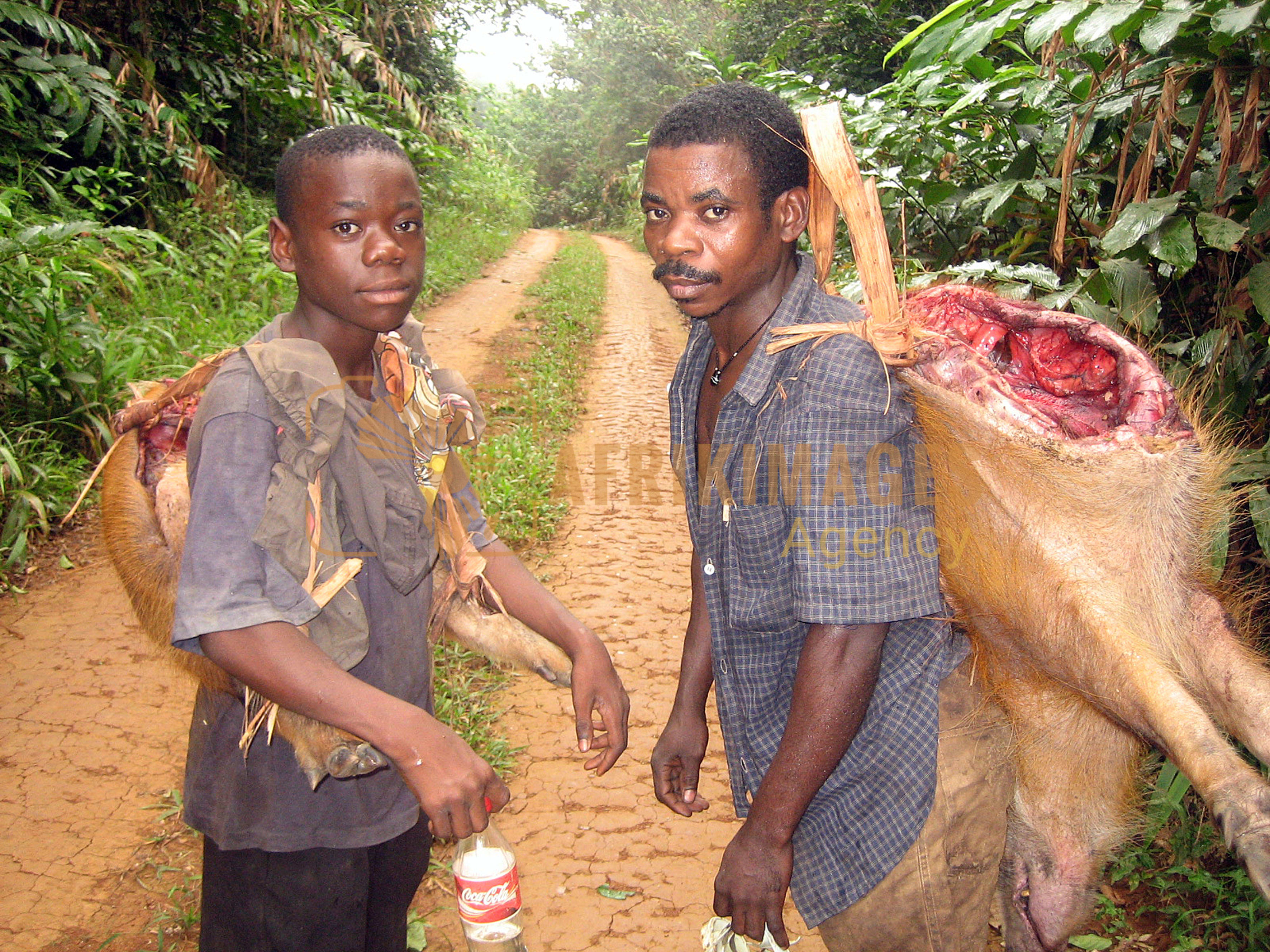 Afrikimages gabon / gens