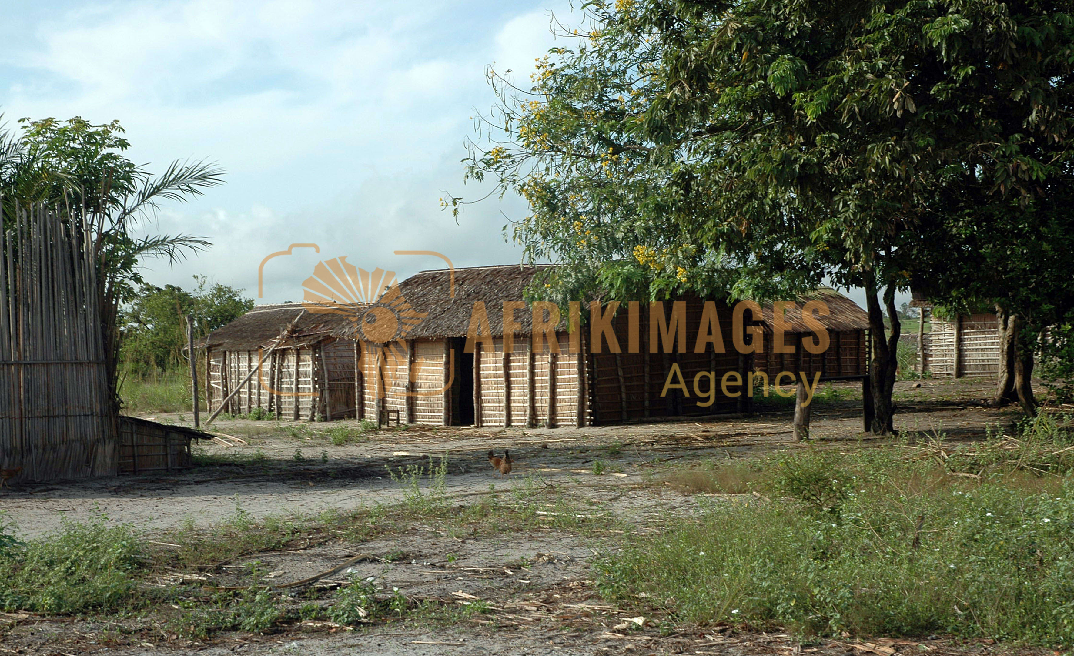 Afrikimages république congo / nature