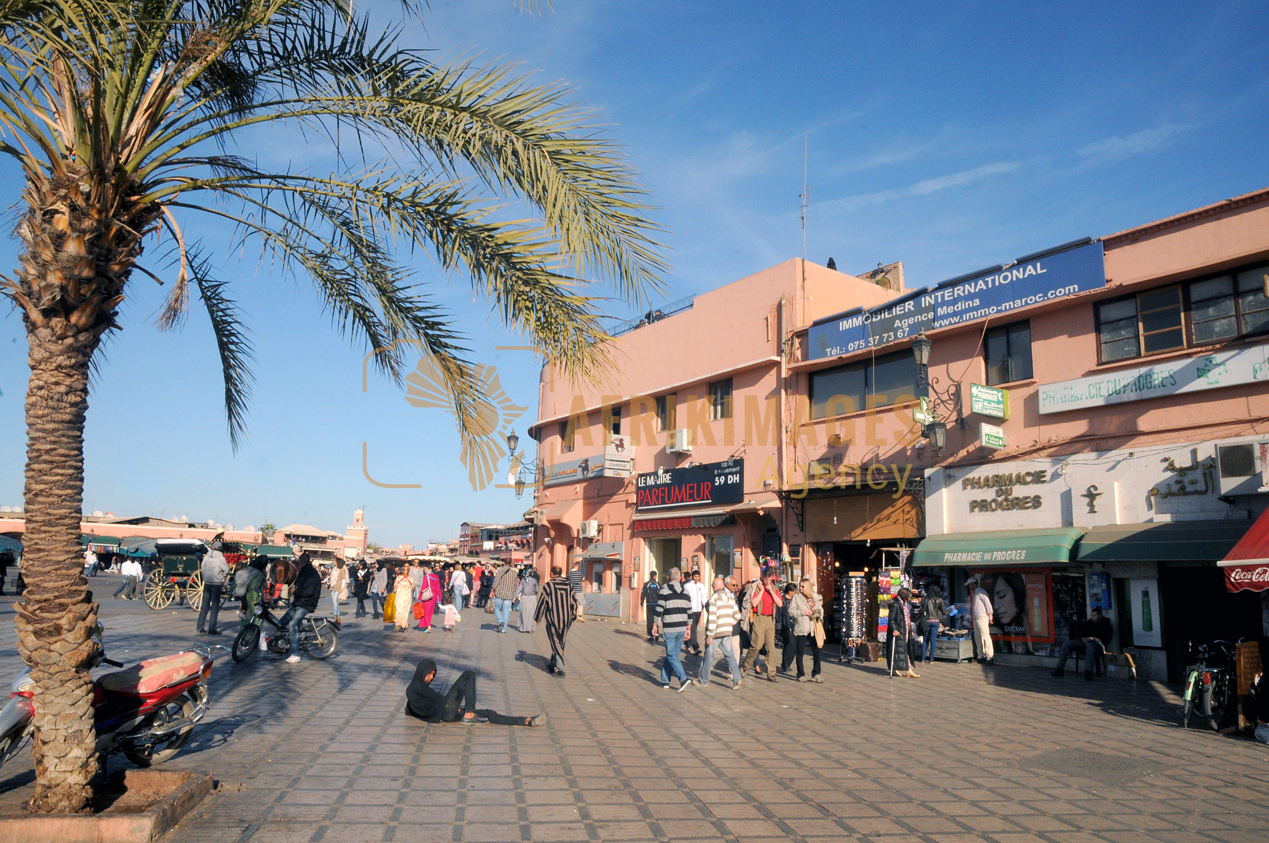 maroc / marrakech