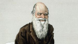 Sharing Darwin's Doubt