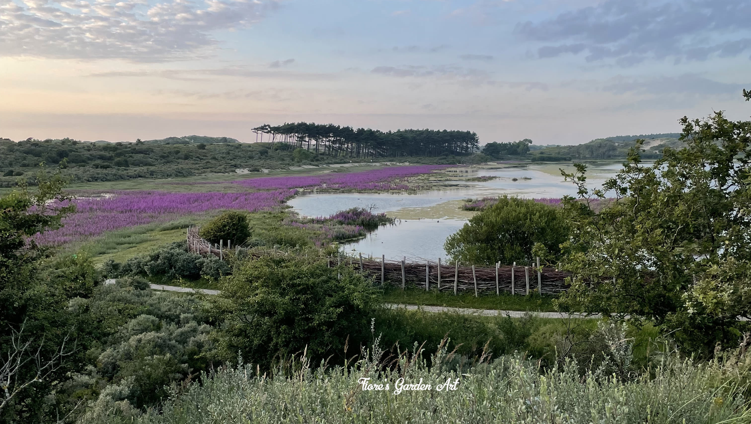 Landscapes to inspire. A bird’s lake in the National Park Zuid-Kennemerland