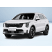 1.6 TGDi PHEV AT6 4WD STYLE