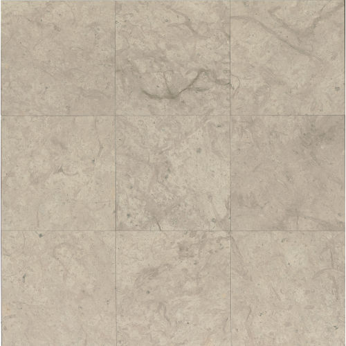 Suave 16" x 16" Smooth Finish Limestone Tile in Chinchilla