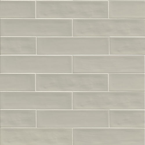 Tongue In Chic 2 1/2" x 10 1/2" Gloss Wall Tile in Cement To Happen