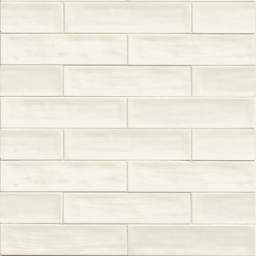 Tongue In Chic 2 1/2" x 10 1/2" Gloss Wall Tile in You Don't Snow Me