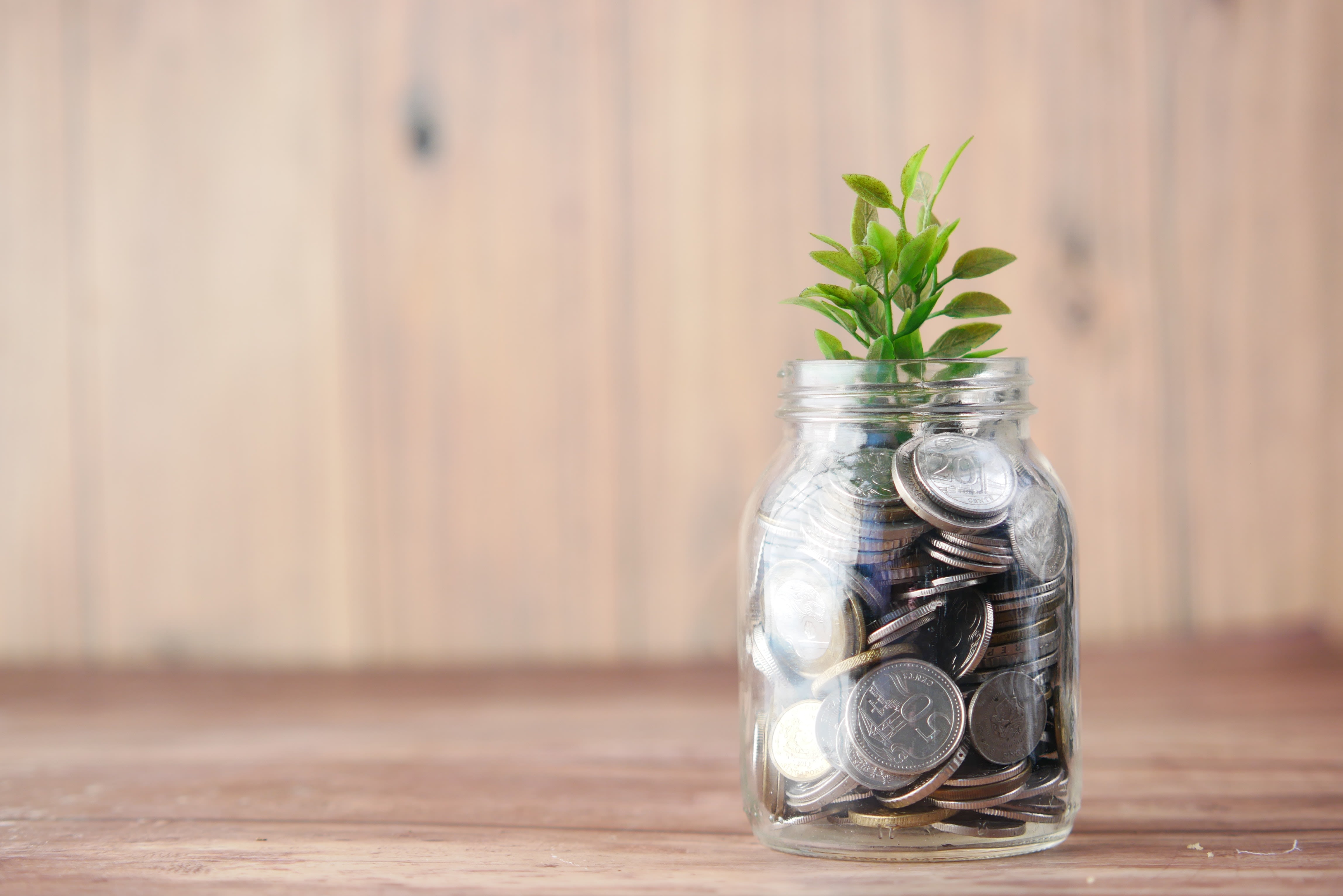 Coins in a jar with a sprouting plant 